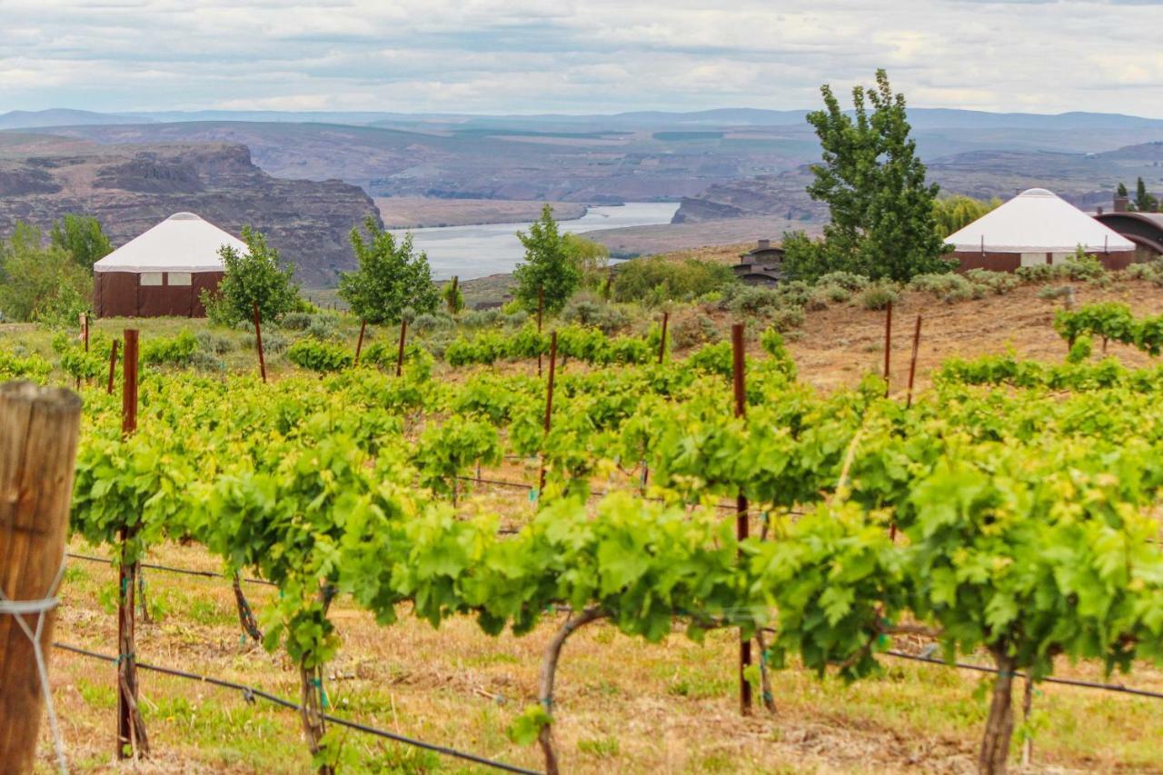 Columbia River Gorge Retreat At Cave B Ridge Quincy Ngoại thất bức ảnh